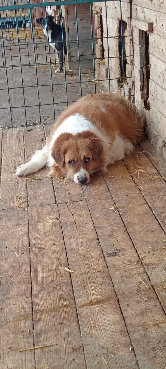 Обижулька Дарина, а дальше Тесси