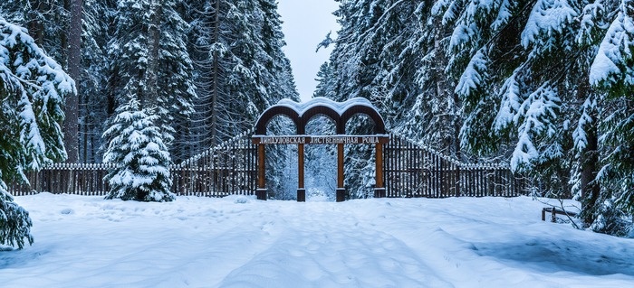 Фото ekamelev. Взято с сайта https://pikabu.ru/story/vorota_v_lindulovskuyu_listvennichnuyu_roshchu_5681222