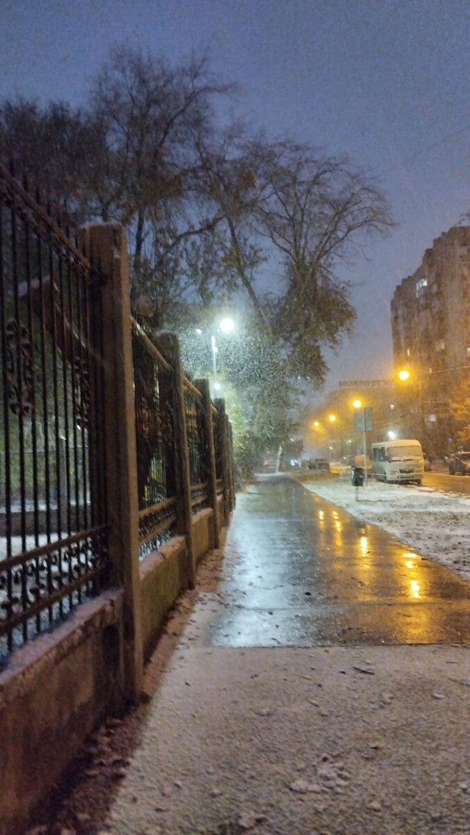 осенний снегопад 