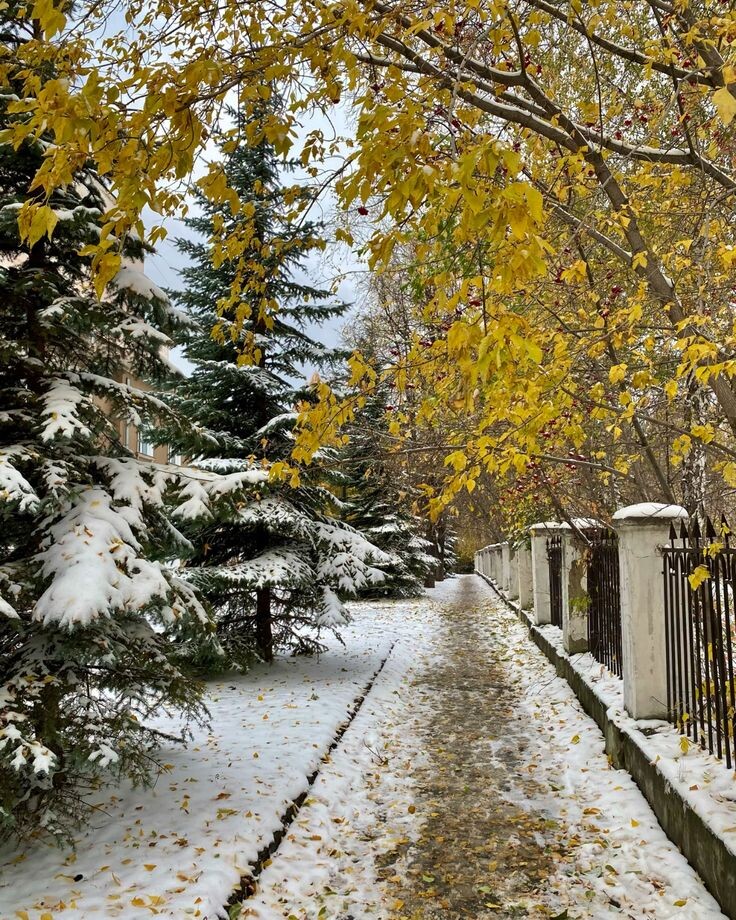 есть разница?