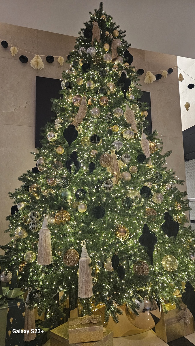 Реальное фото из жизни автора