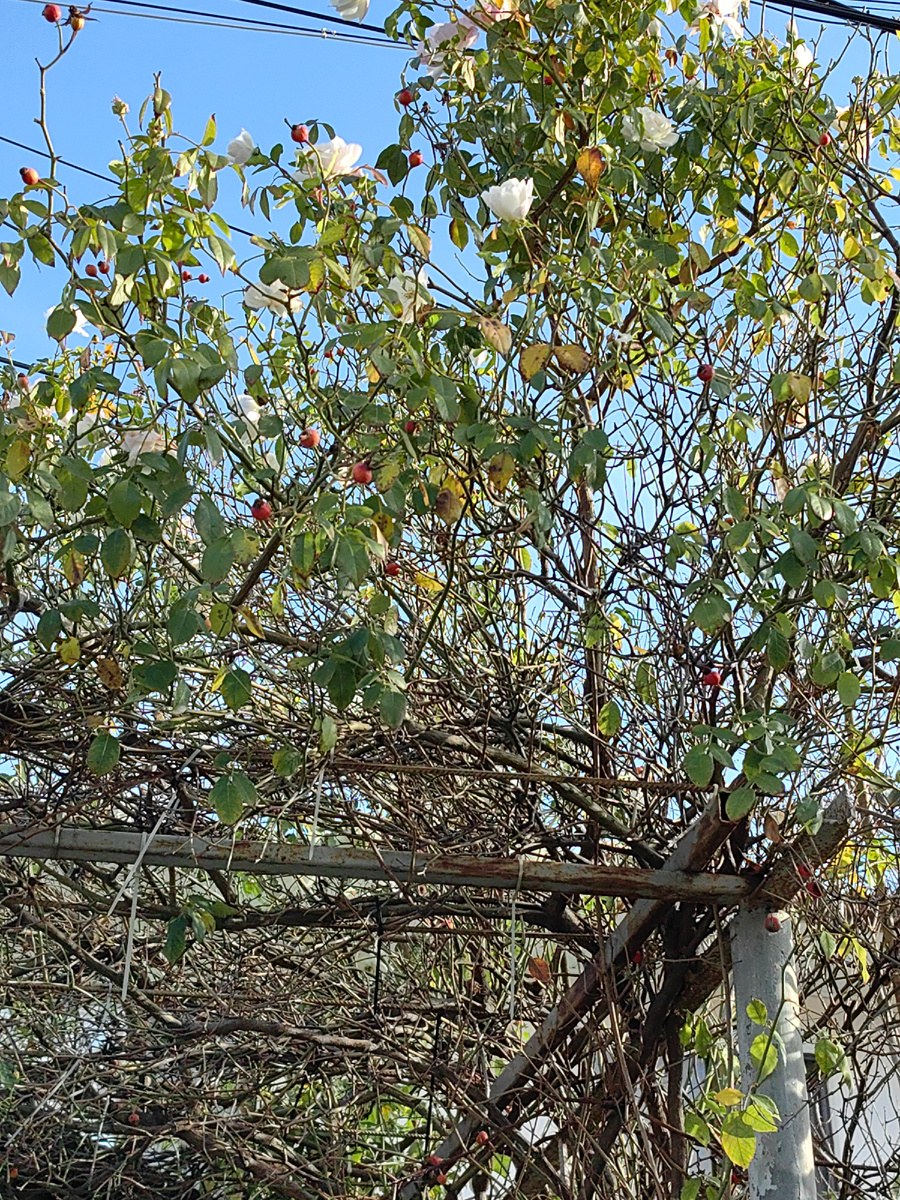 Сегодня. Фото автора канала