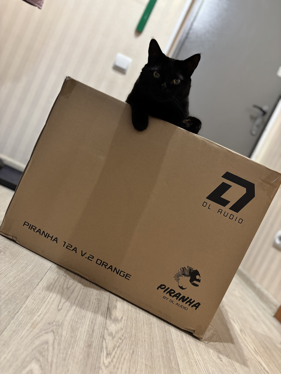 Маркуша одобряет ✅