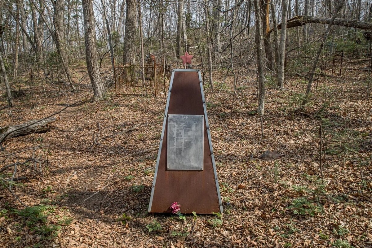 Изображение из открытых источников