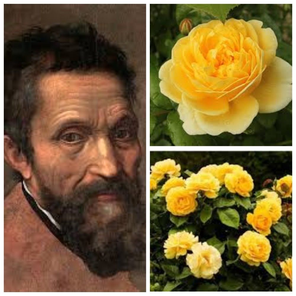 Коллаж: Зеленая леди, сад, семья и томатный сок