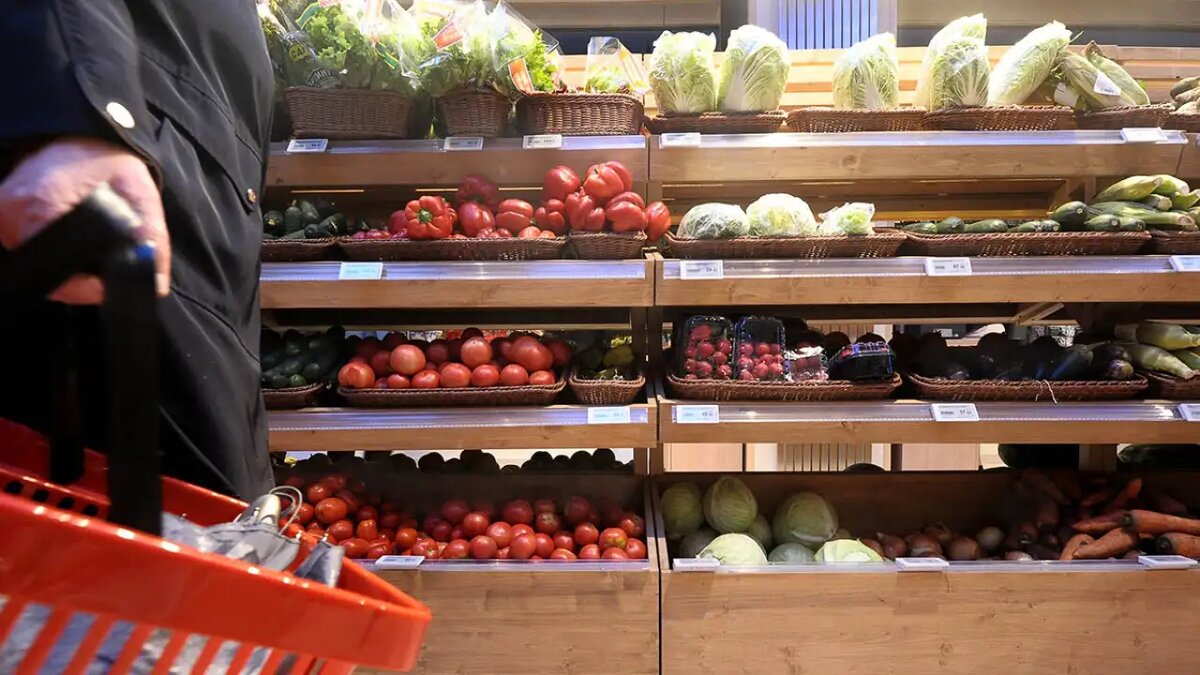     Александр Авилов / АГН Москва