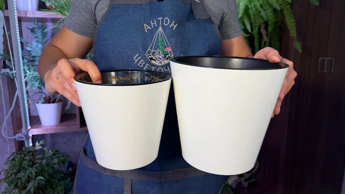 У нас почти все растут в таких кашпо - удобно