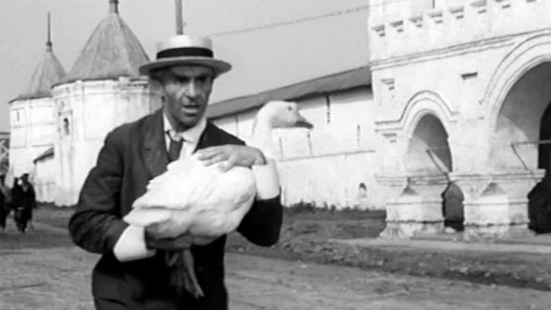 М.С.Паниковский очень любил запечённого гуся