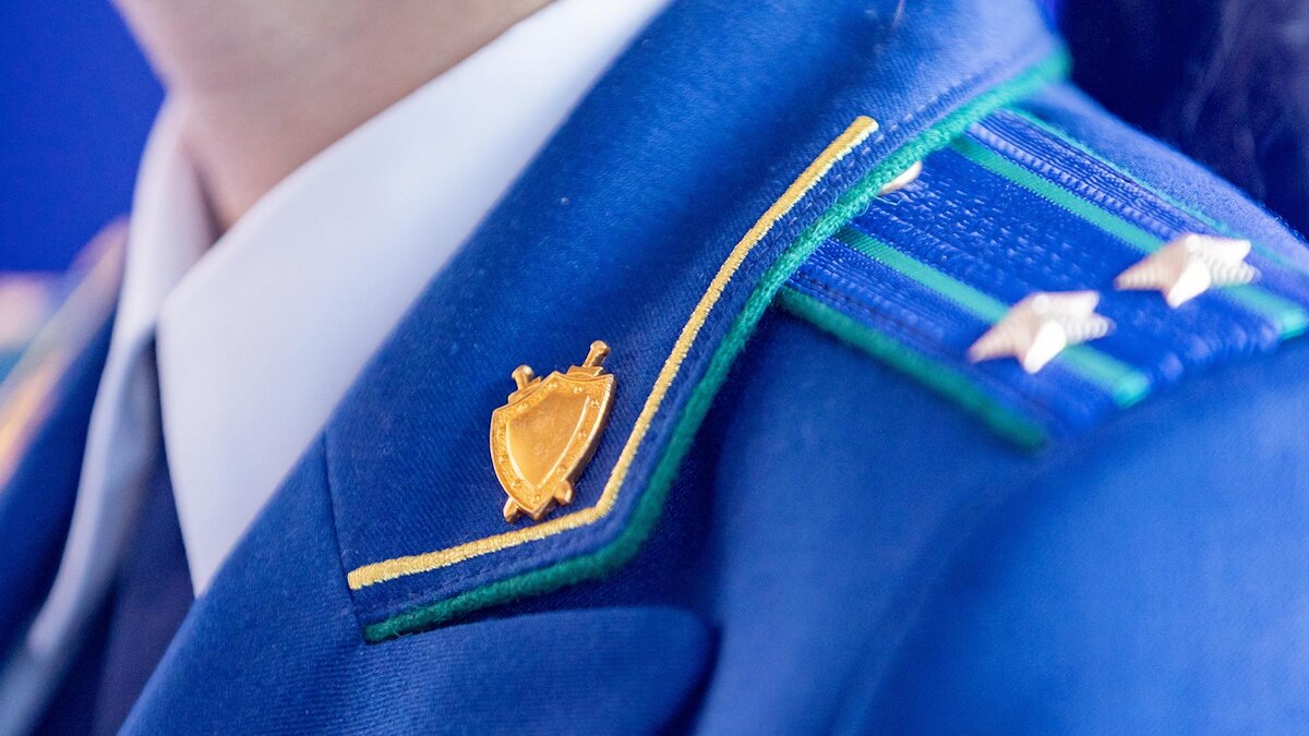    Фото: Aleksey Smyshlyaev/globallookpress.com