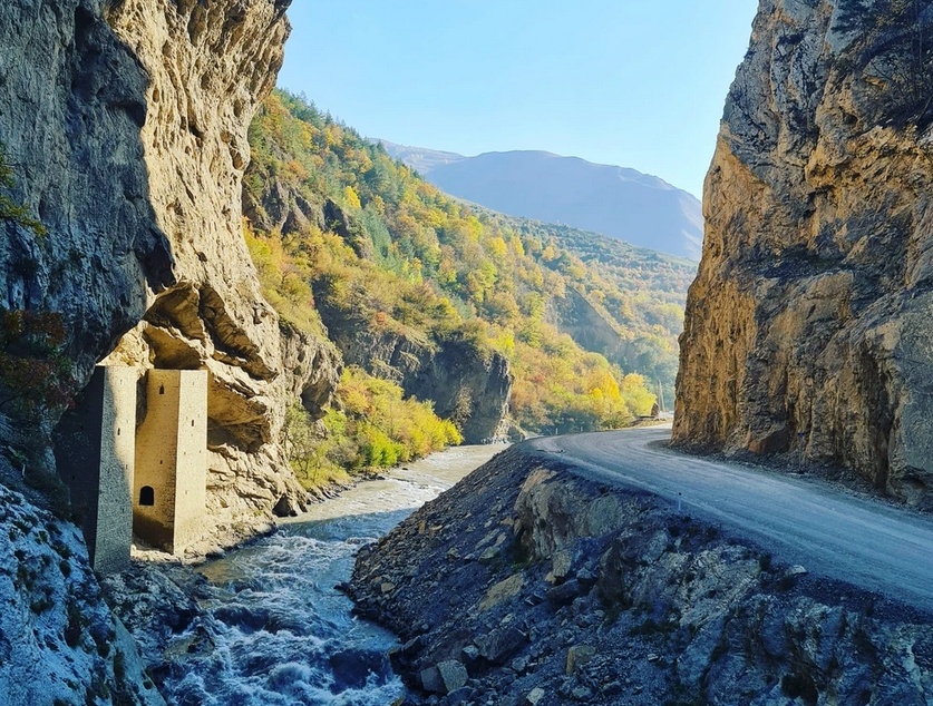 Источник: организатор