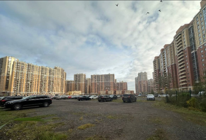 фото: Администрация Заневского городского поселения