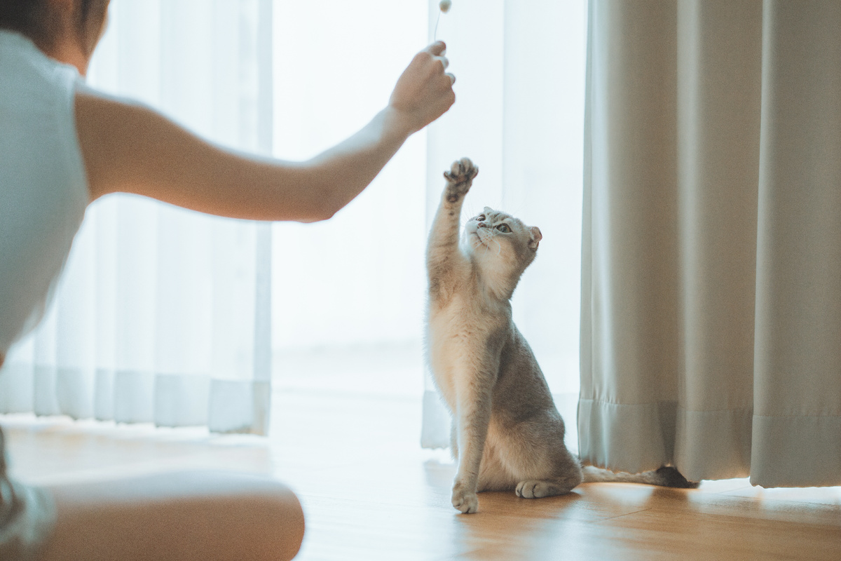 Фото: Shutterstock