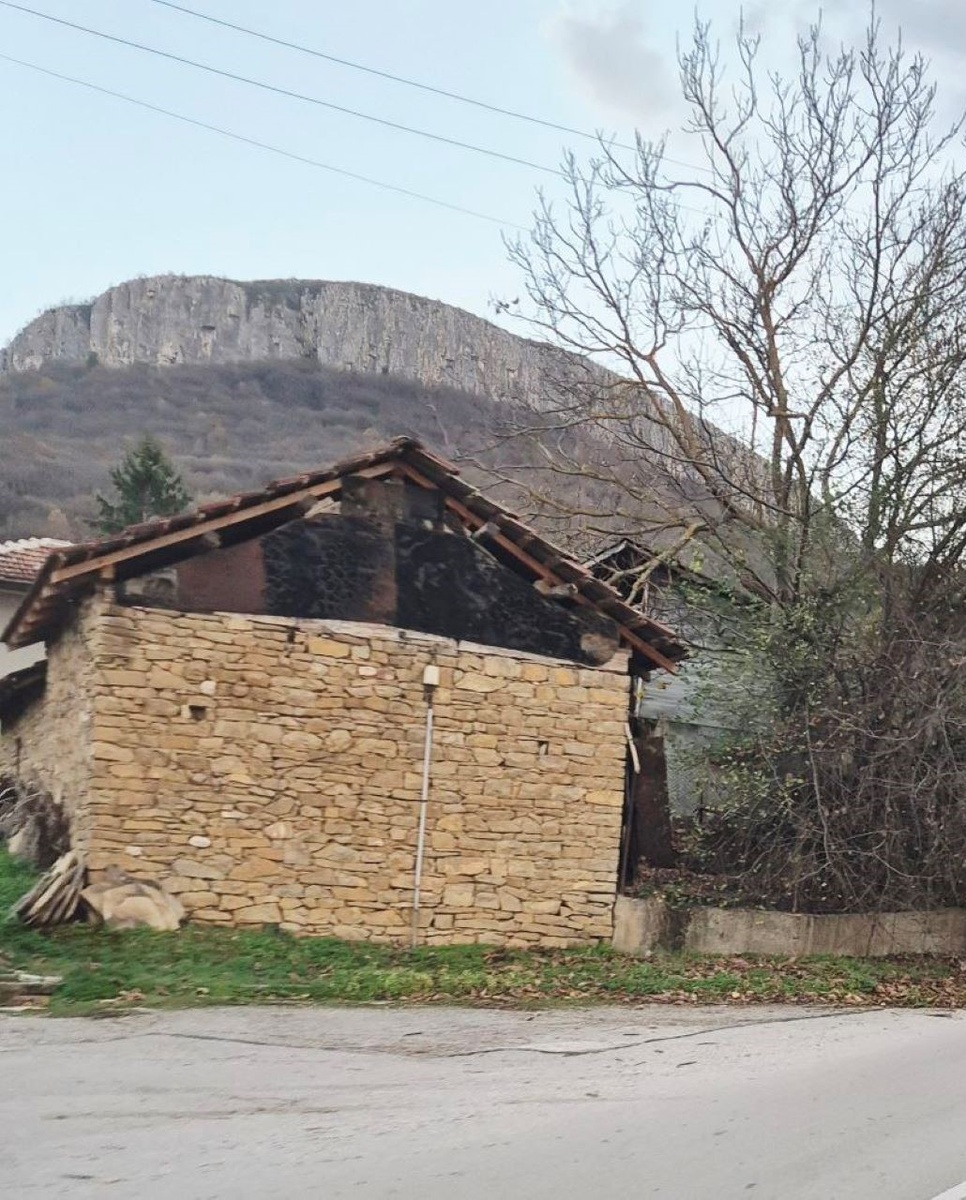 Воон оттуда сверху муж и сигал.