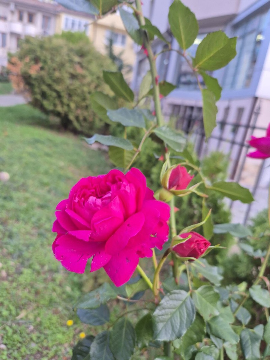 26 ноября 2025