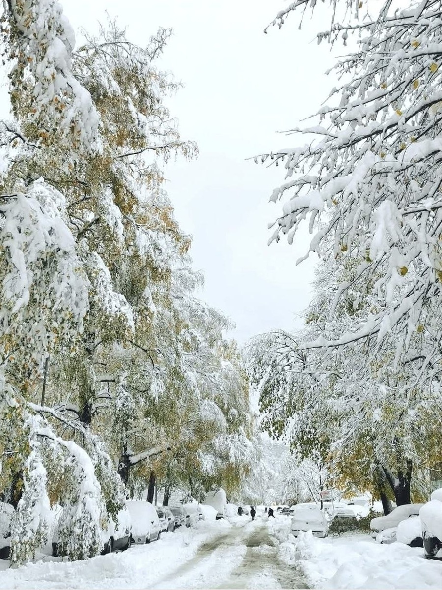 и.... 26 ноября 2023 года (фото из местной ФБ группы)