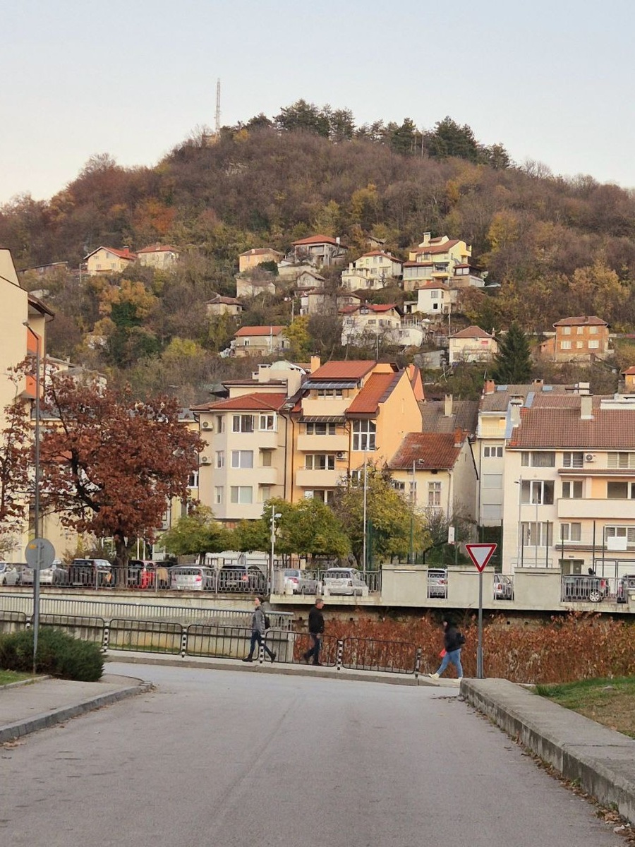 22 ноября 2024 года