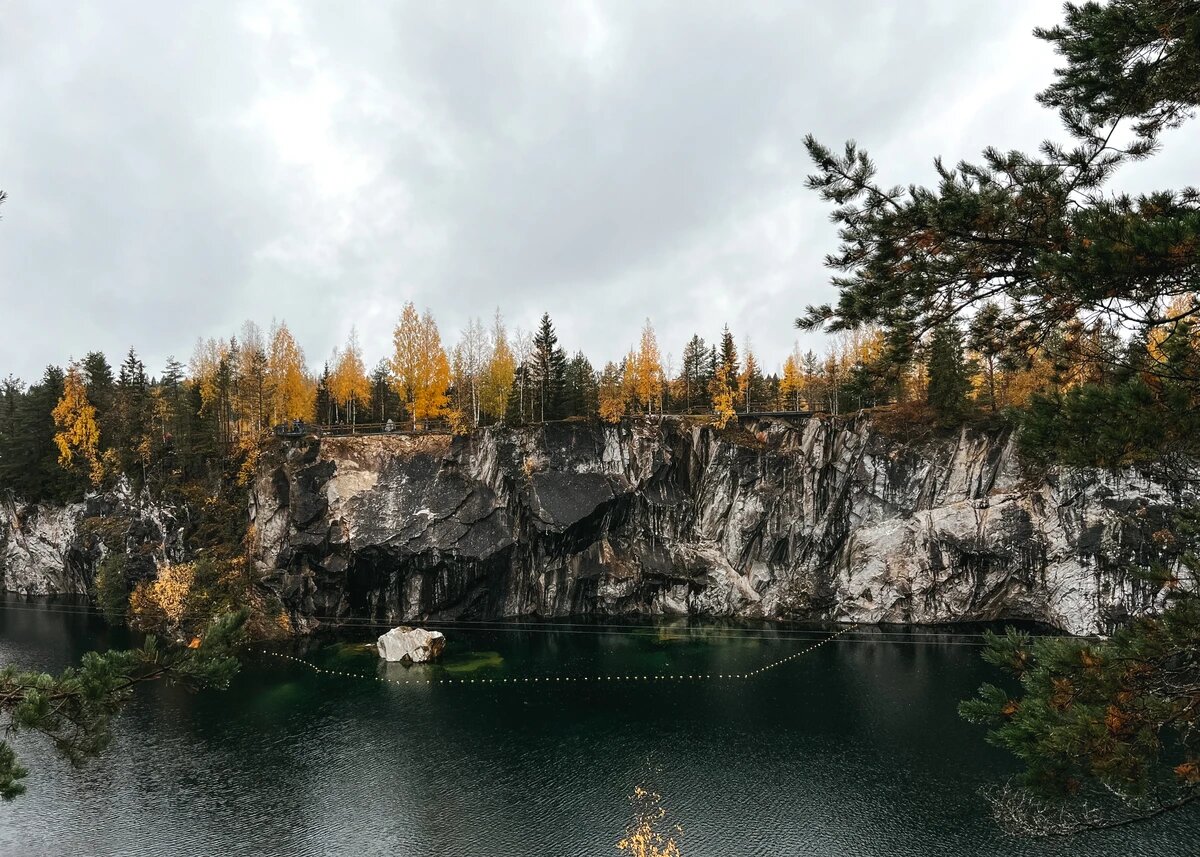 Источник: организатор