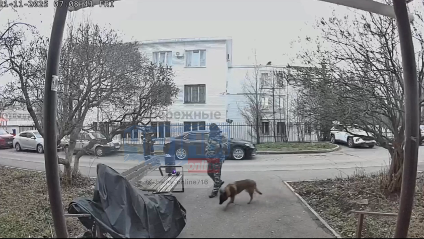    Скриншот из видео