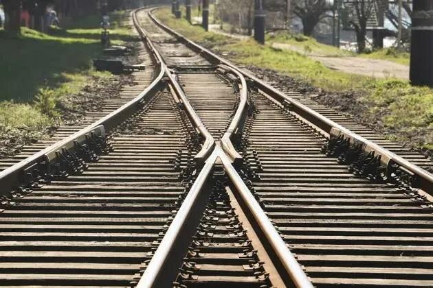 Обложка © Shutterstock / FOTODOM / maradon 333