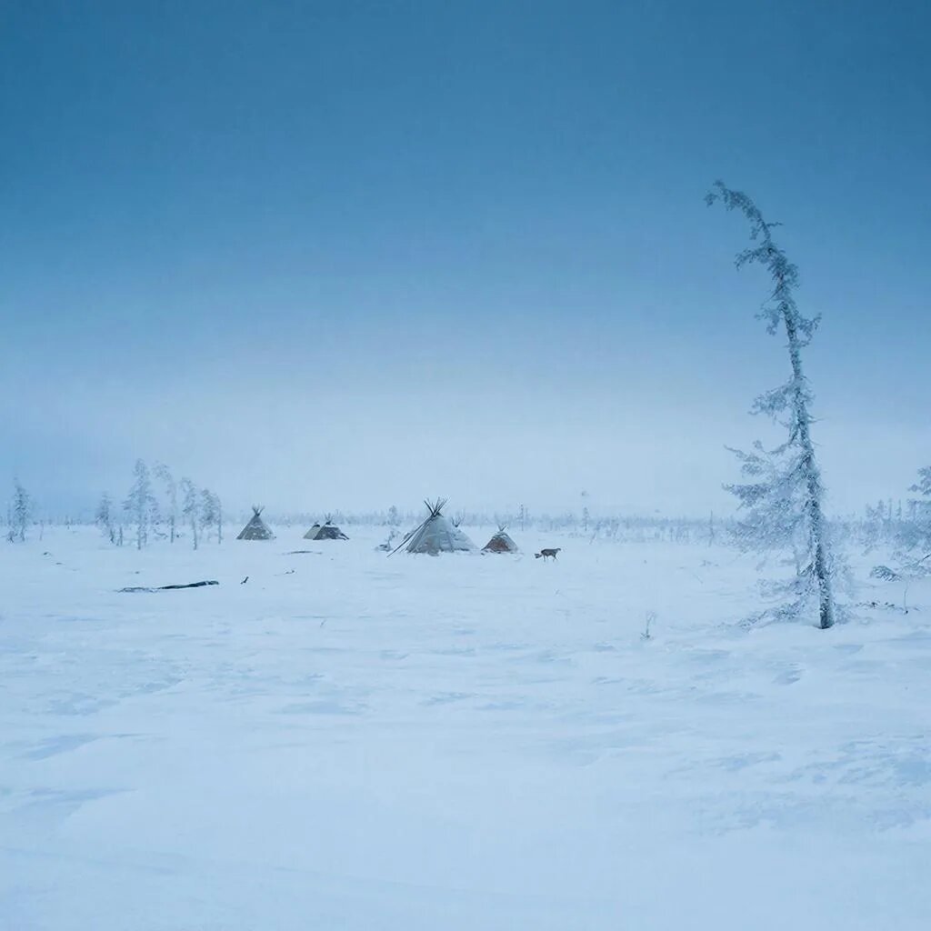 Изображение сгенерировала нейросеть GigaChat.