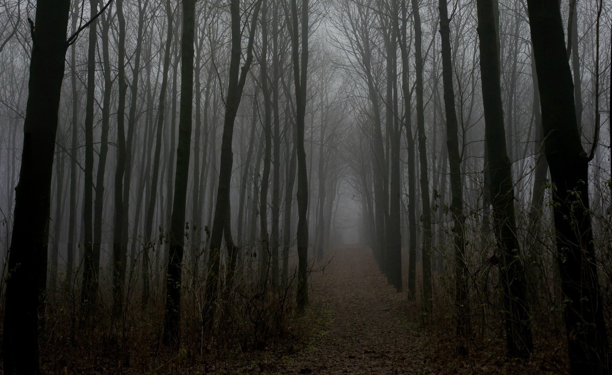 В небольшом посёлке, окружённым глухими таёжными лесами, начинают пропадать люди. Но это нисколько не волновало друзей, пока однажды им самим не пришлось столкнуться с тем, что не поддаётся никакому объяснению. На кону многое...