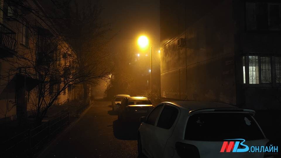    Фото: МТВ.ОНЛАЙН / Елизавета Денисова