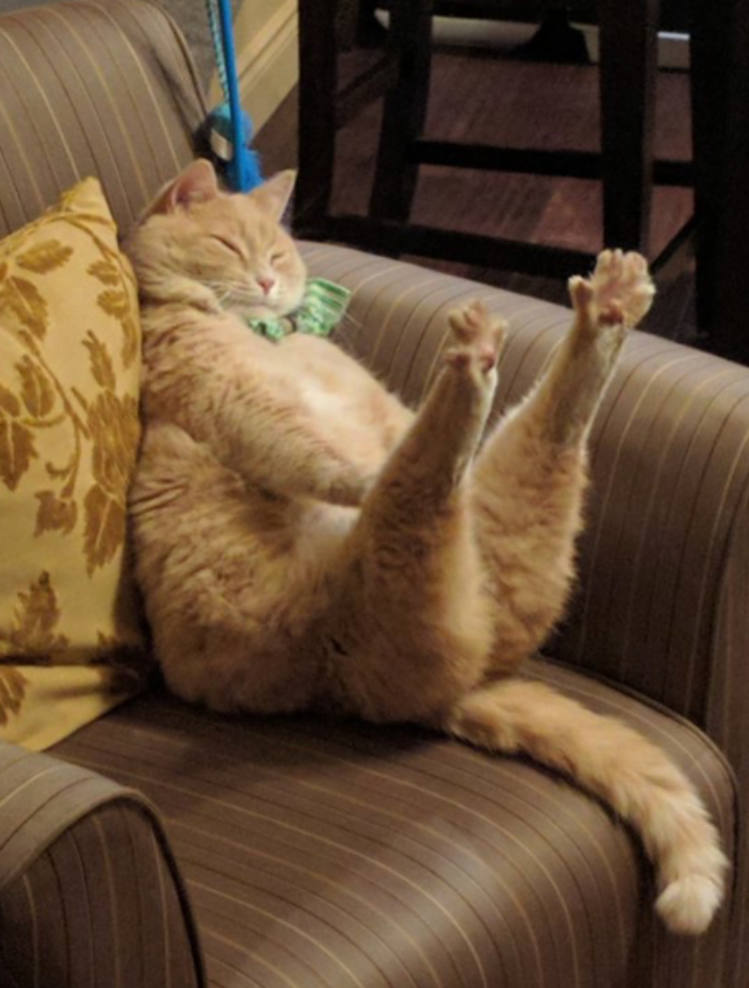 Статья не для тех, кому удалось отдохнуть 