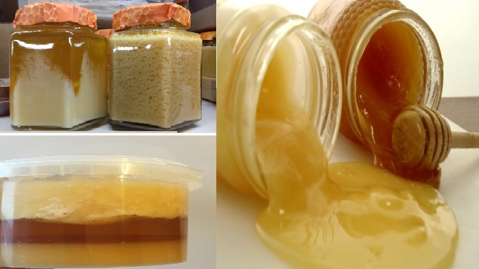 Фото из открытых источников. 