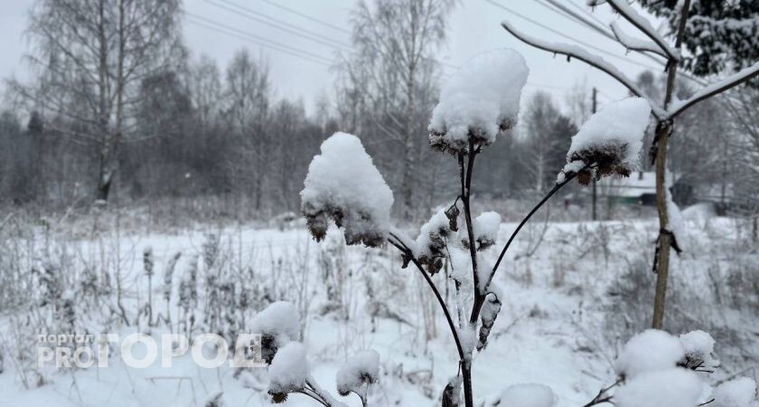    Фото "Про Город"