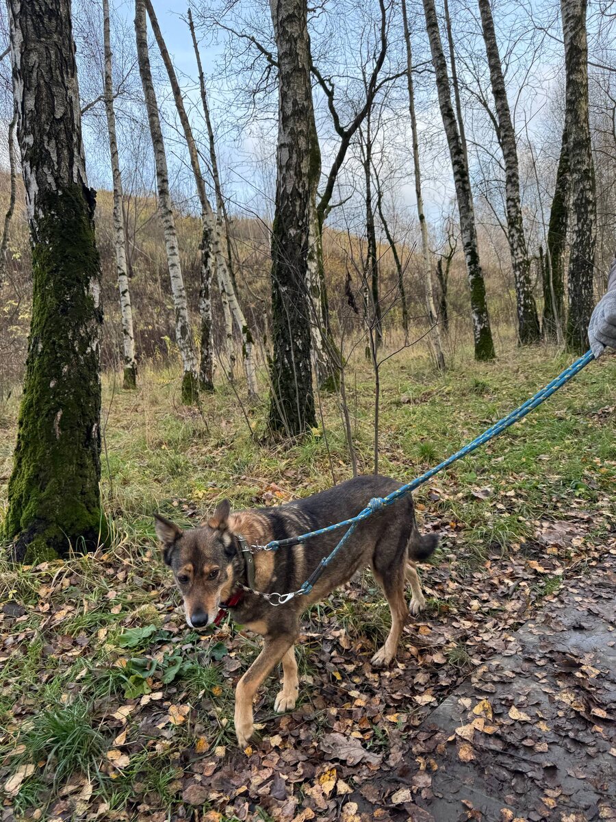 Я - мастер маскировки поневоле