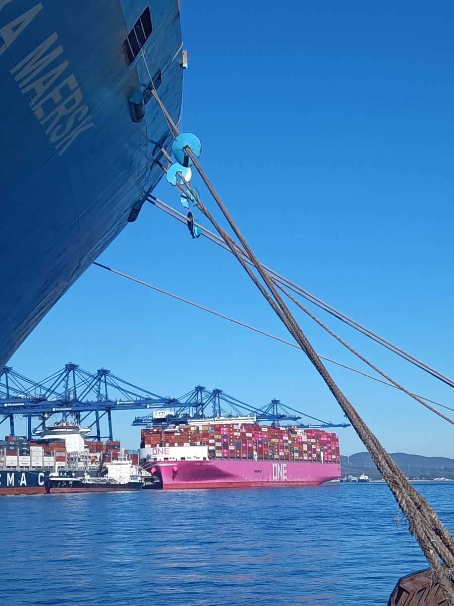 "Через дорогу" восточный контейнерный терминал Зелёного Острова, у причалов которого грузятся синие "французики" из CMA CGM, за которыми стоит розовый 400-метровый "японец" ONE INGENUITY.