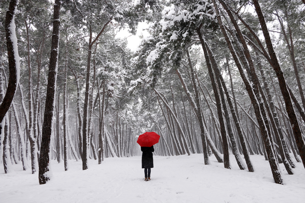     Погода будет сумасшедшей: Россию ждет аномально холодная зима?