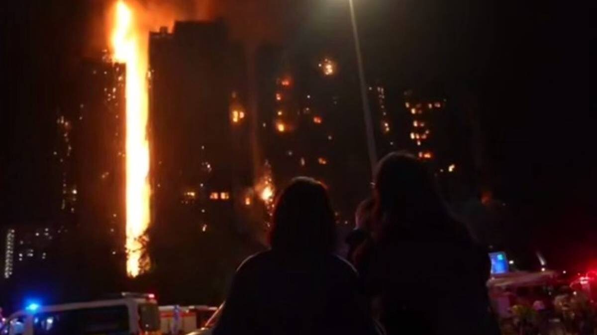    Фото: Скриншот видео / Fox News