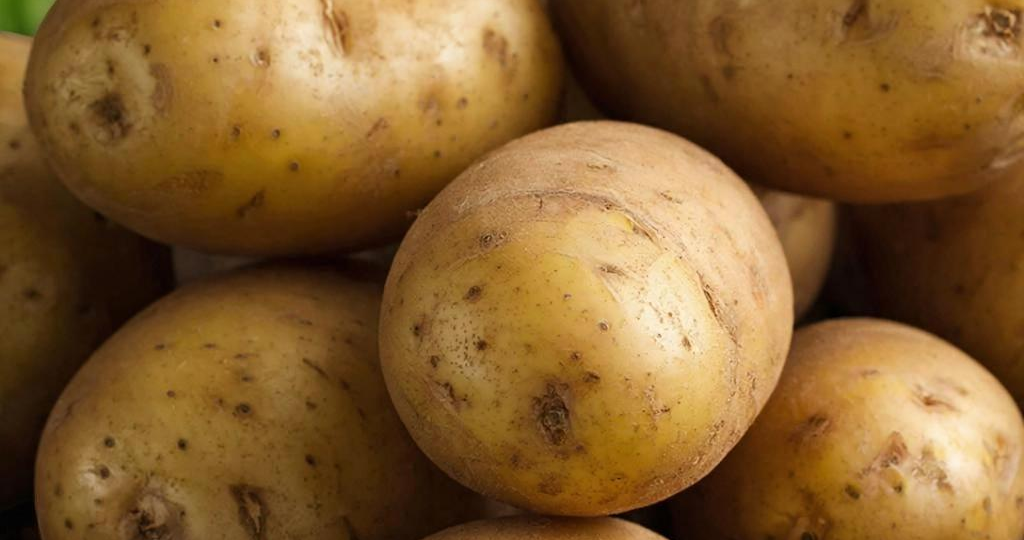 Зола: невидимый враг в огороде. Когда народное удобрение губит урожай