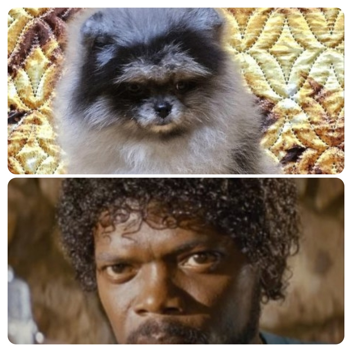 Ох, уж этот взгляд.