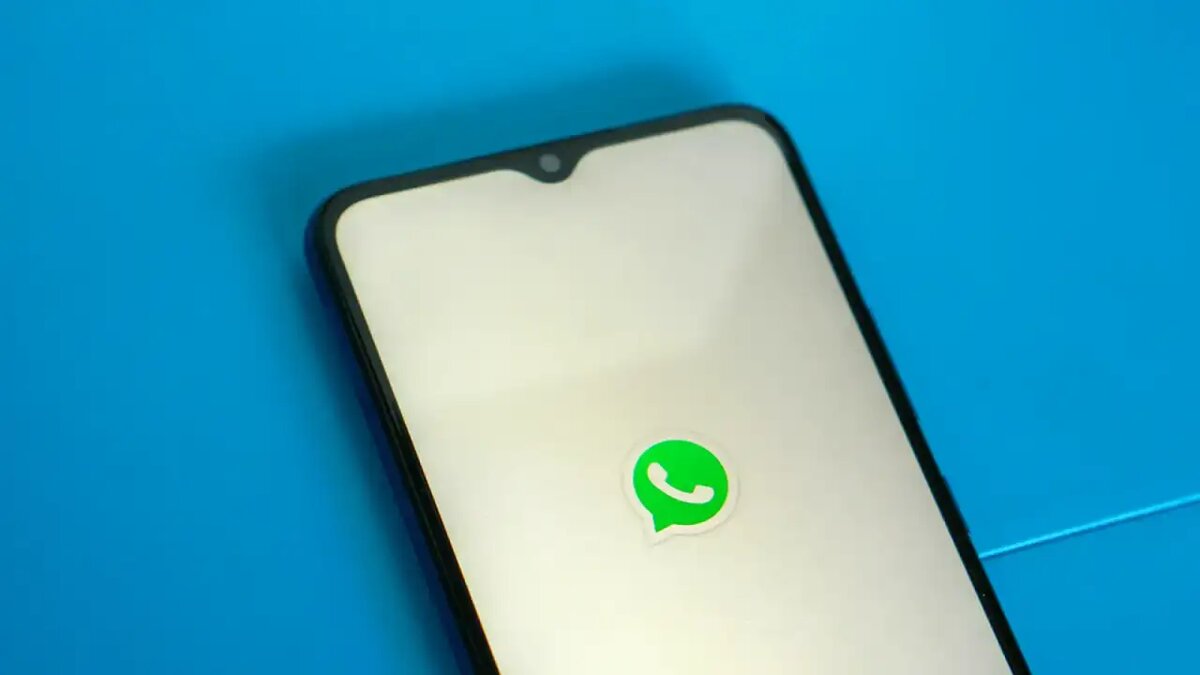     © unsplash.com/Mourizal Zativa