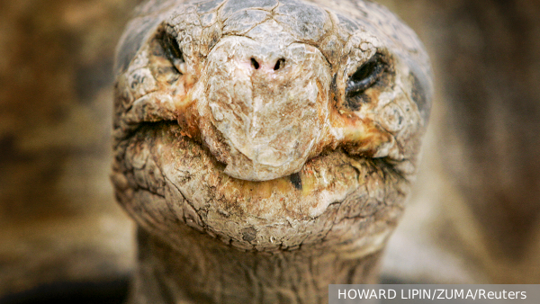     Фото: HOWARD LIPIN/ZUMA/Reuters