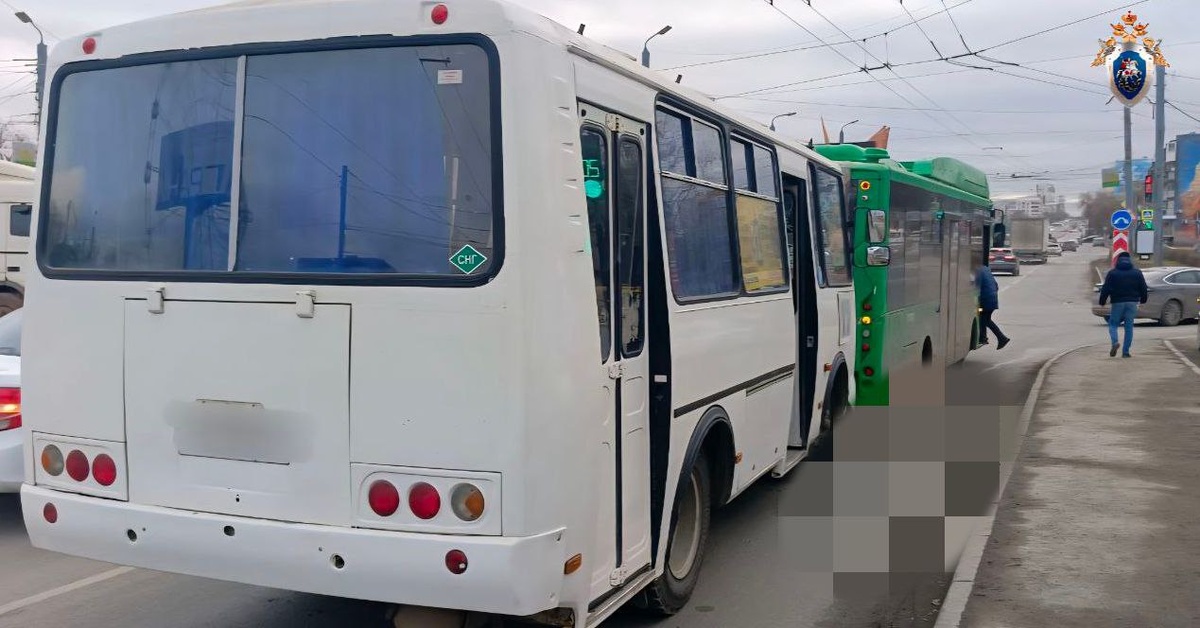    Фото: скриншот СК России в Челябинской области