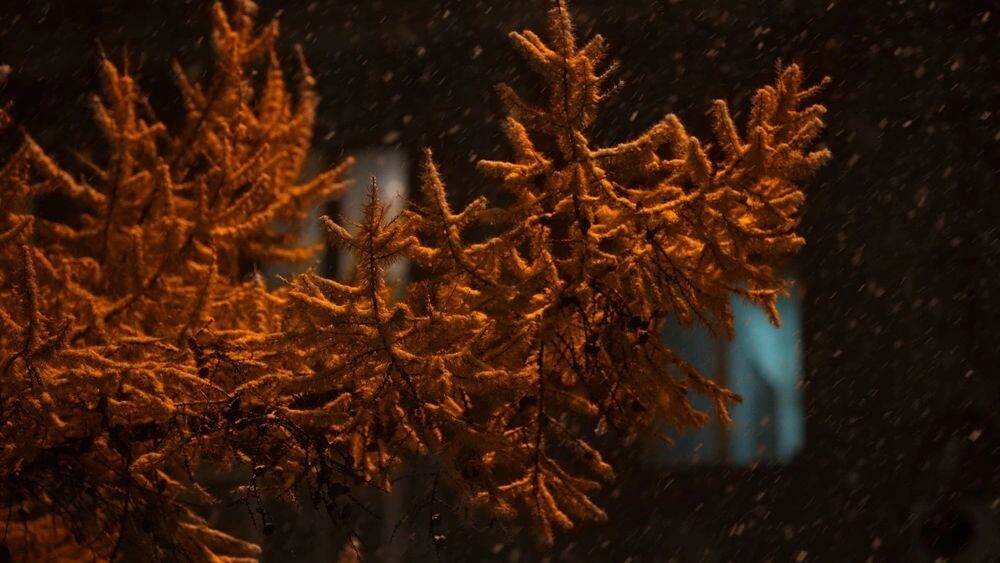    Фото: kaikups/Shutterstock/Fotodom