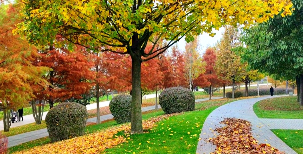 🍂Парк Галицкого в ноябре🍂