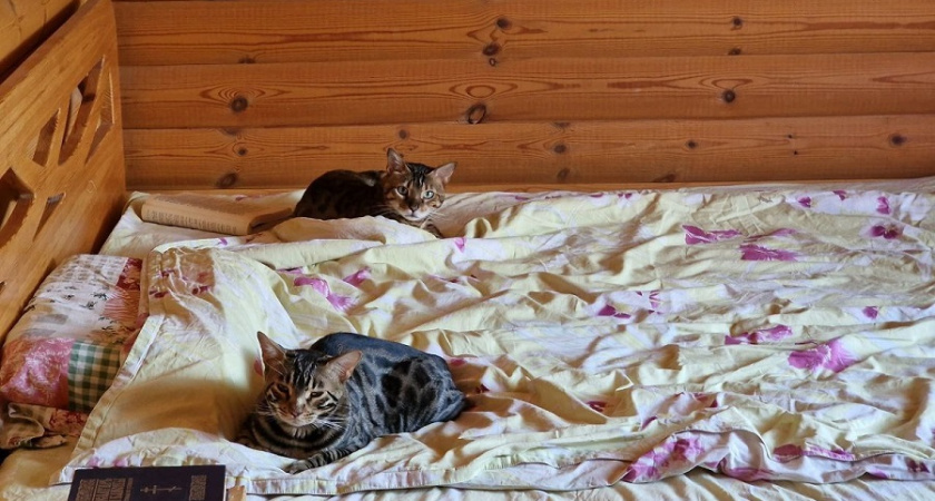    Фото Анастасии Дмитриевой