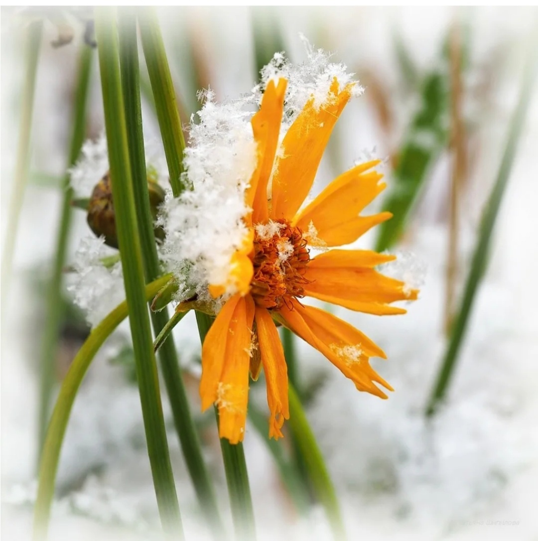 С просторов интернета