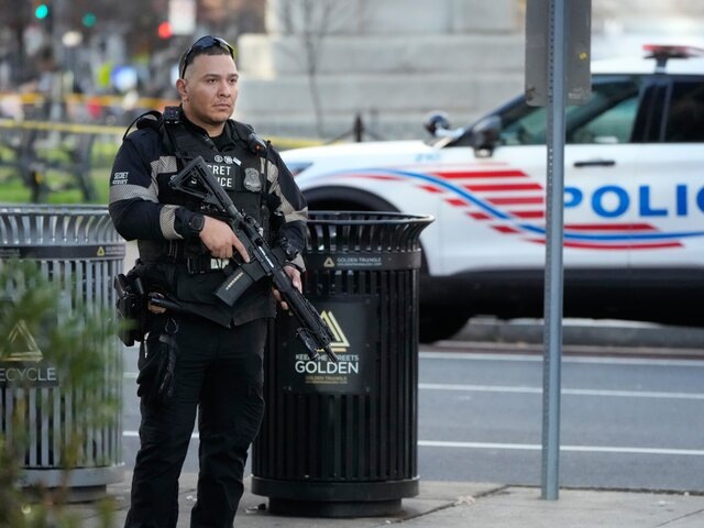    Фото: AP Photo/Mark Schiefelbein