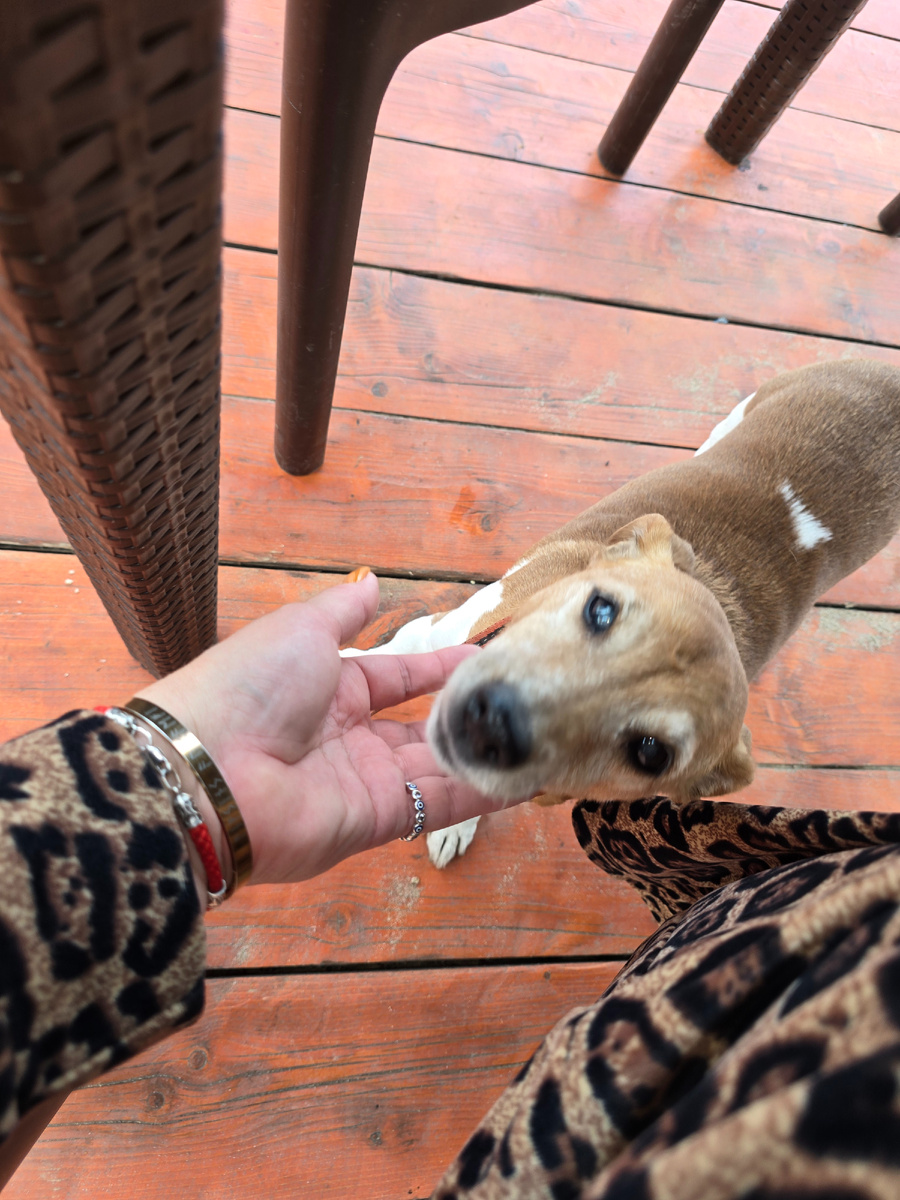 Юта уже дома, с мамой