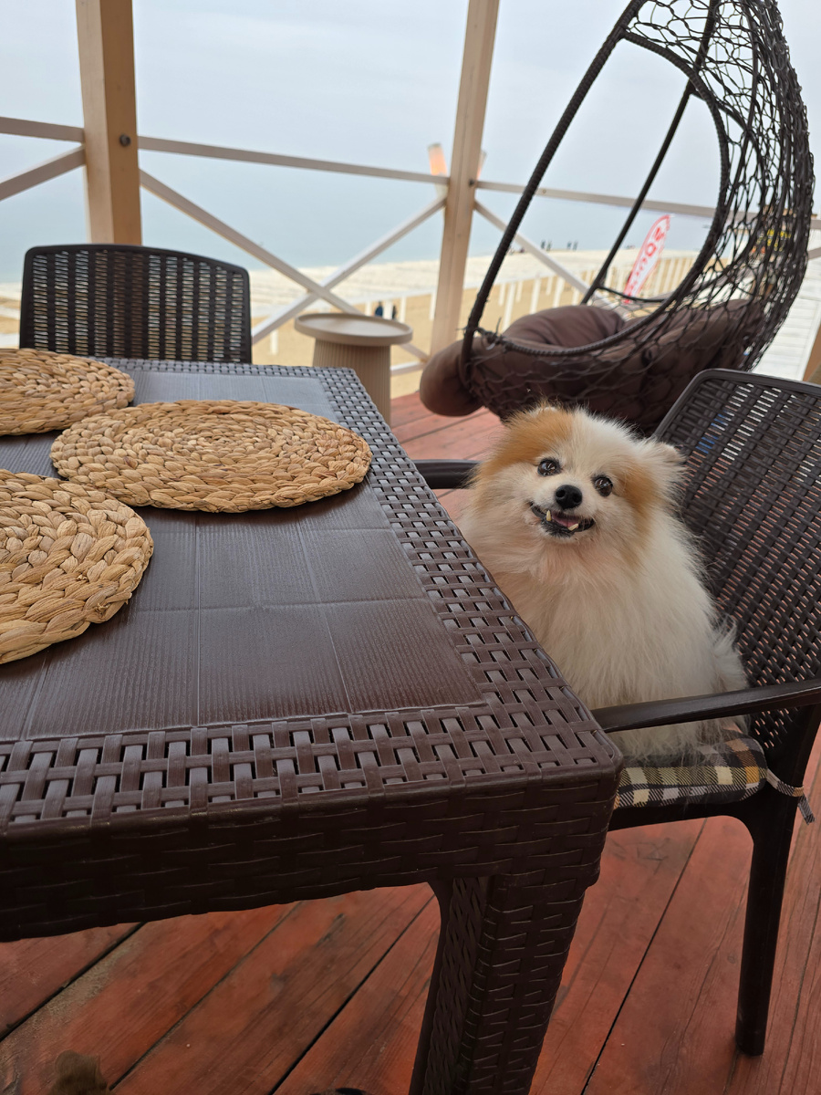 Наше любимое место на пляже