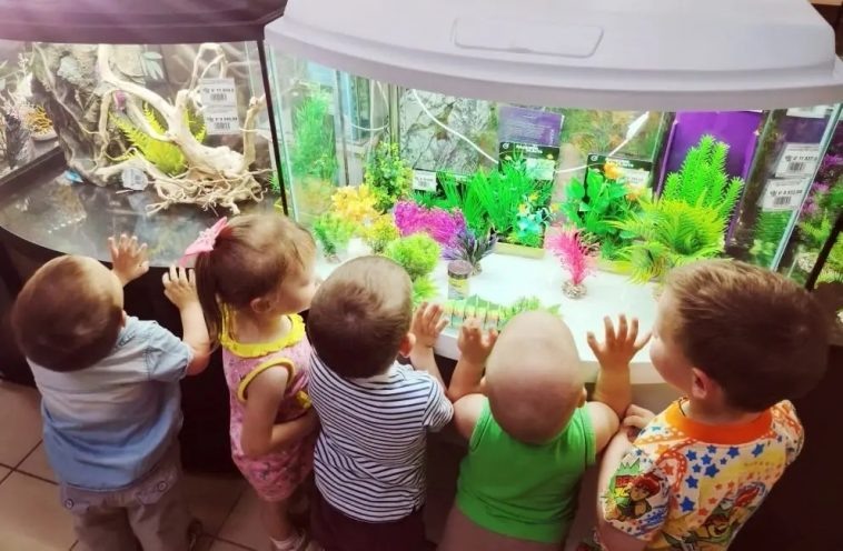 фото: Юлия Приклонская