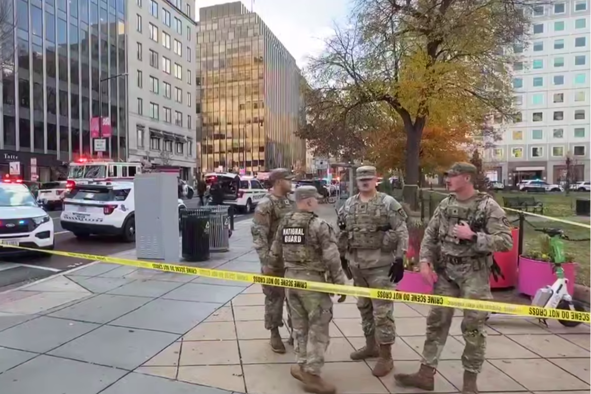    Фото: скриншот видео