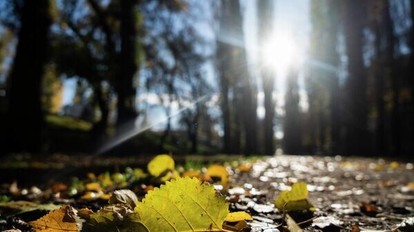    © РИА Новости Крым