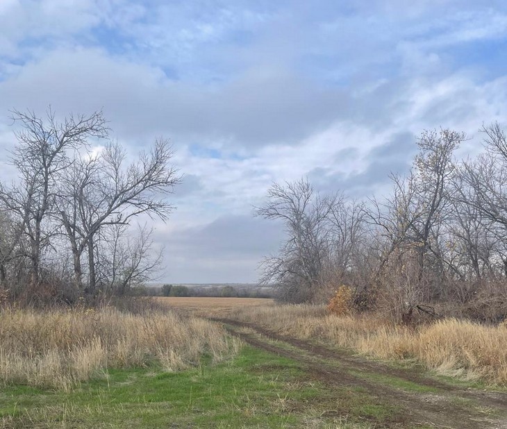    природа Алексеева Наталья