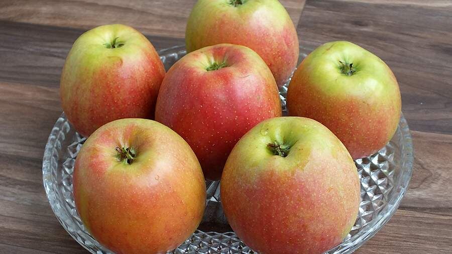    Фото: Global Look Press/Victor Lisitsyn